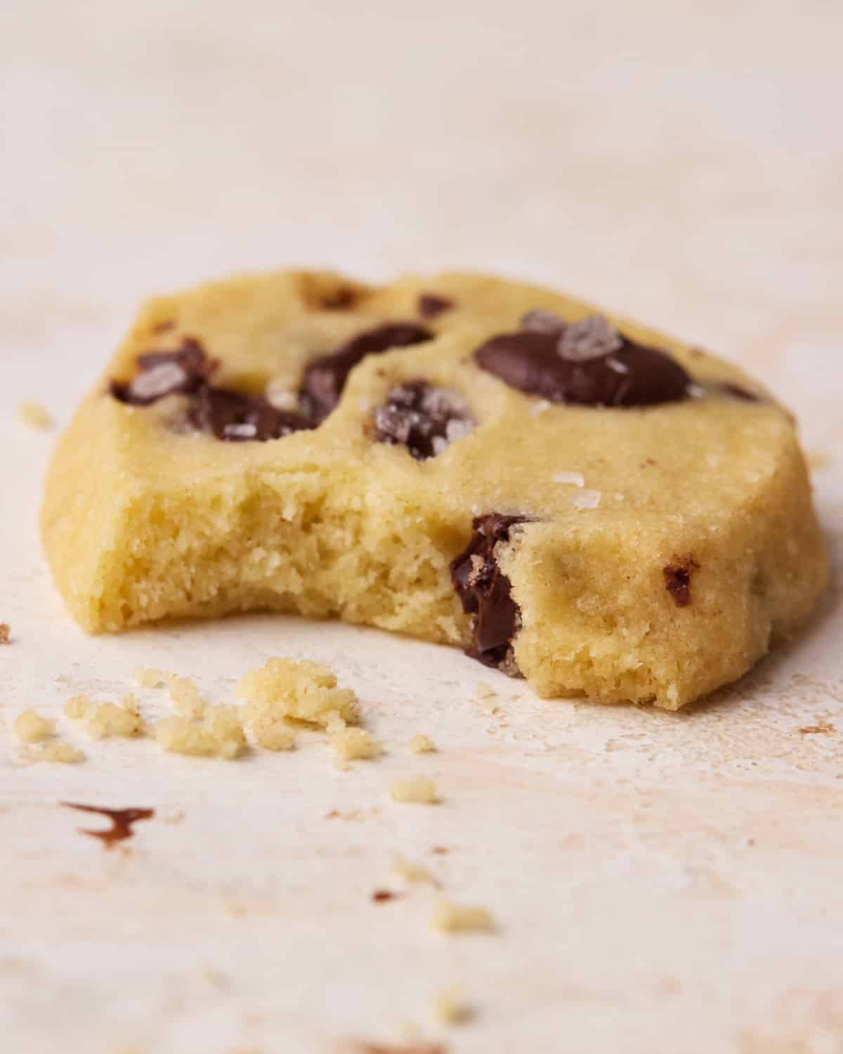 Close up of a chocolate chip shortbread cookie with a bite taken out of it to show the crumbly texture.