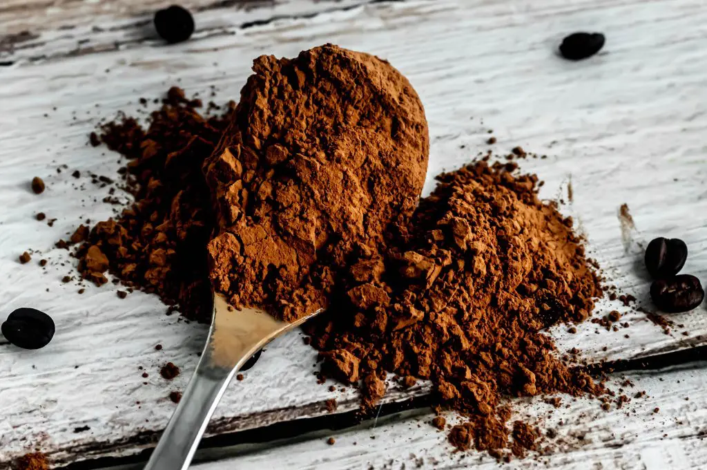 cocoa powder in a spoon