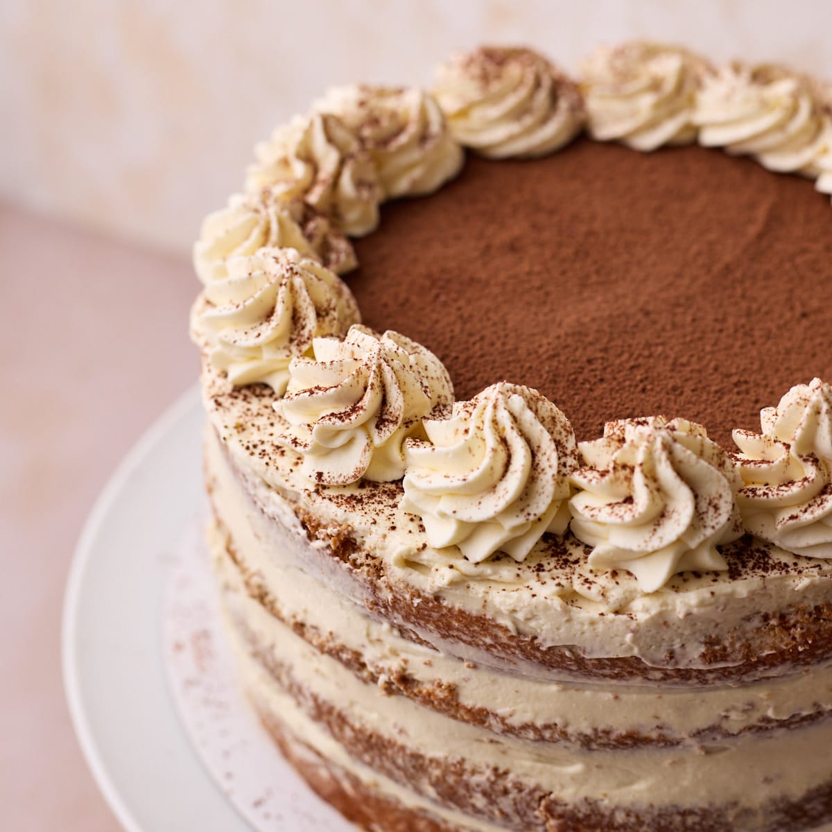 Tiramisu cake topped with cocoa powder and piped rosettes of mascarpone cream around the outside. 