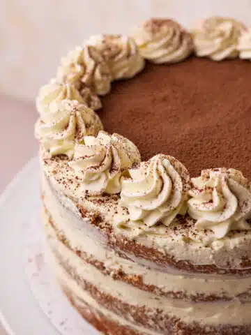 Tiramisu cake topped with cocoa powder and piped rosettes of mascarpone cream around the outside.