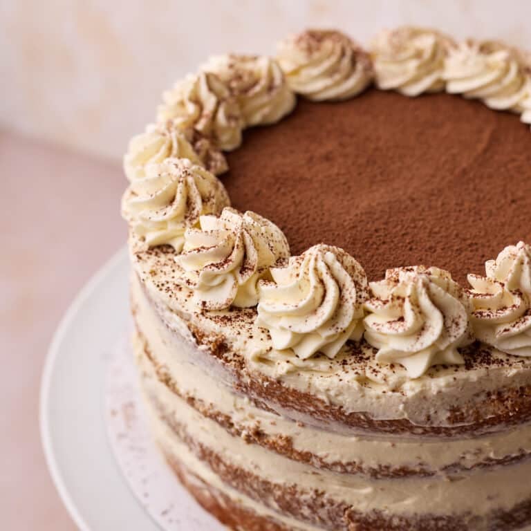 Tiramisu cake topped with cocoa powder and piped rosettes of mascarpone cream around the outside.