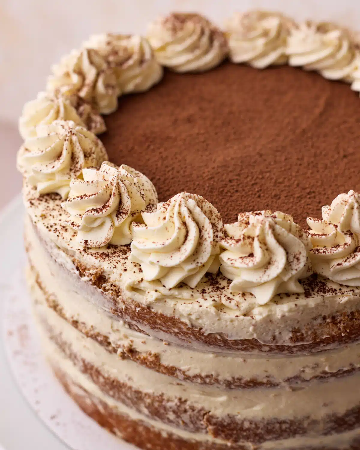 Tiramisu cake topped with cocoa powder and piped rosettes of mascarpone cream. 