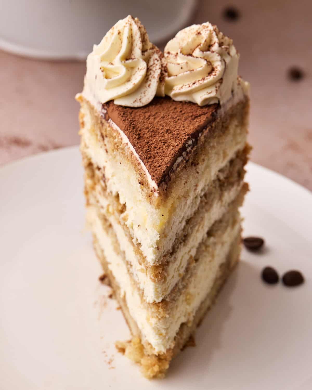 Close up of a slice of tiramisu cake head on, showing the distinct layers.