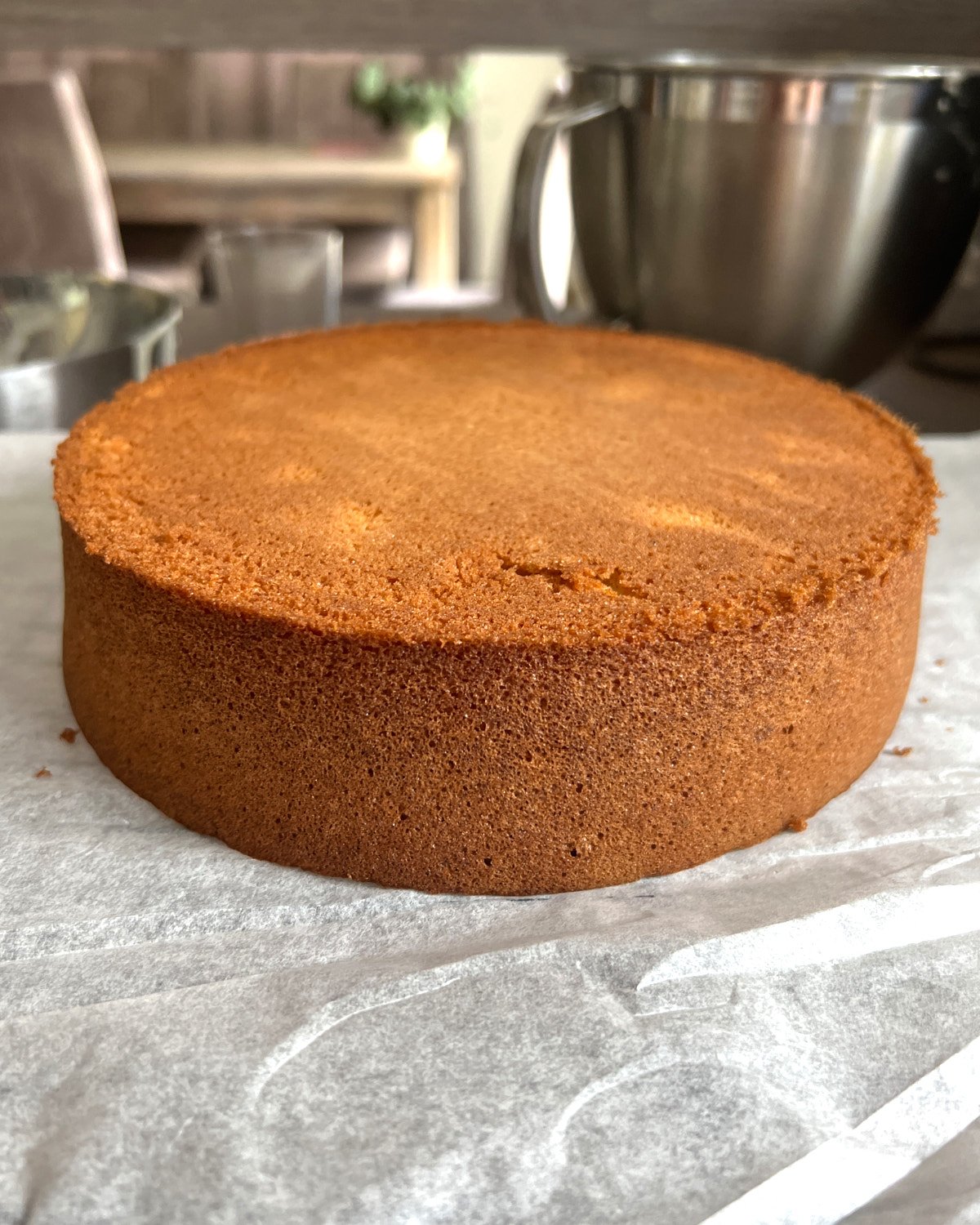 baked genoise sponge cake cooling on a wire rack.