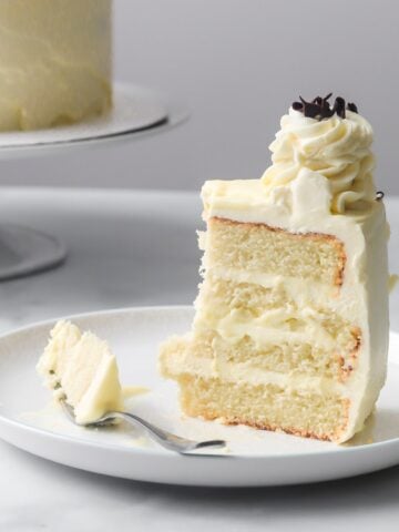 slice of vanilla cake with custard filling.