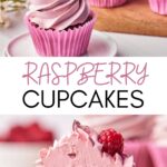 raspberry cupcakes with raspberry filling and russian buttercream,