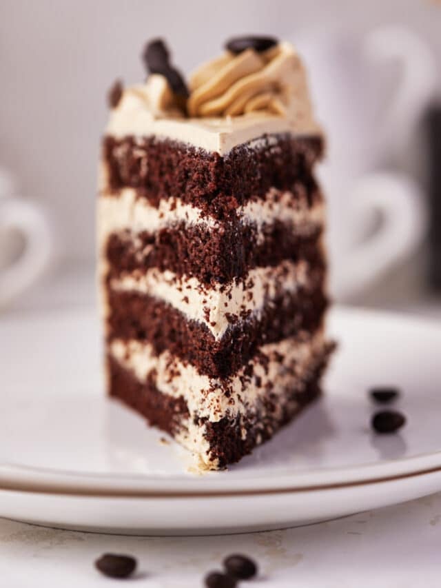 slice of chocolate espresso cake head on.