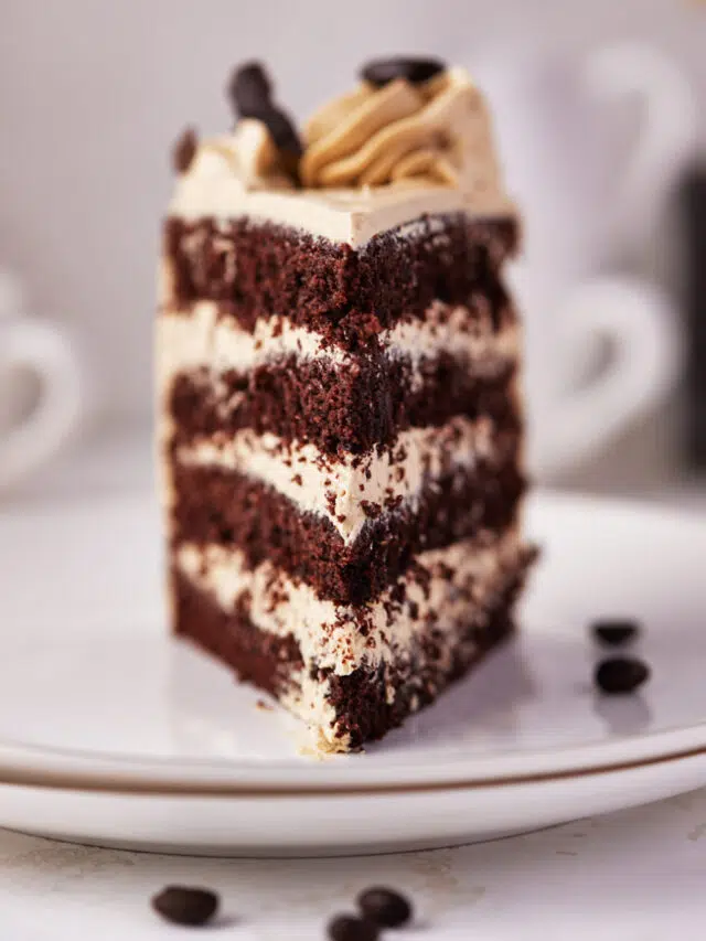 slice of chocolate espresso cake head on.