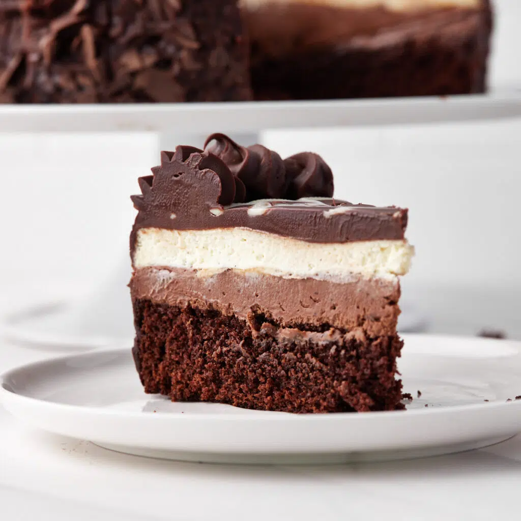 A slice of homemade black tie mousse cake, viewed from the side, showing the distinct layers.