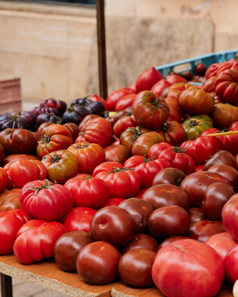various kinds of tomatoes piled high at food market in mallorca. 