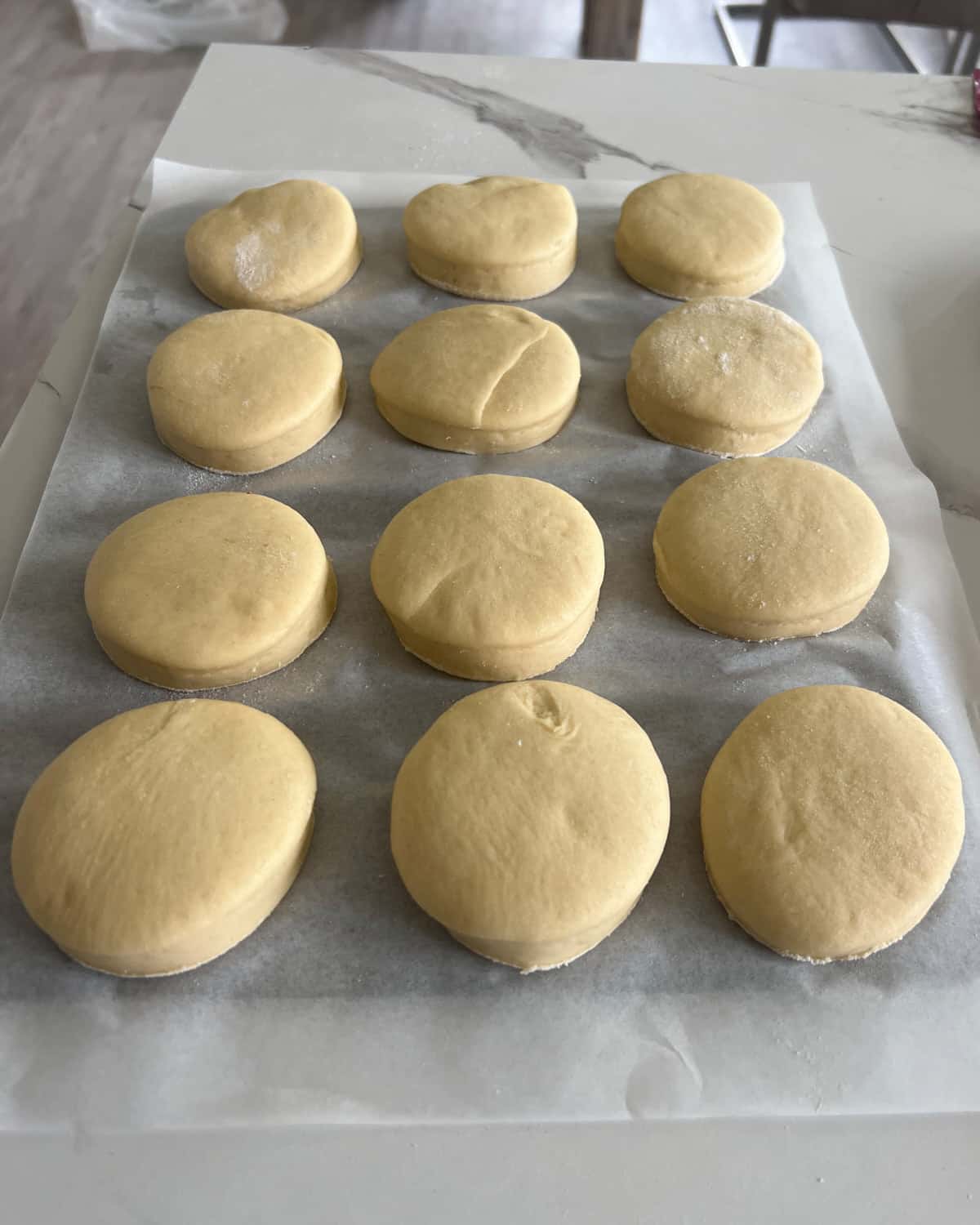 Process of making custard donuts - yeast dough cut into rounds on baking sheet for second proof.