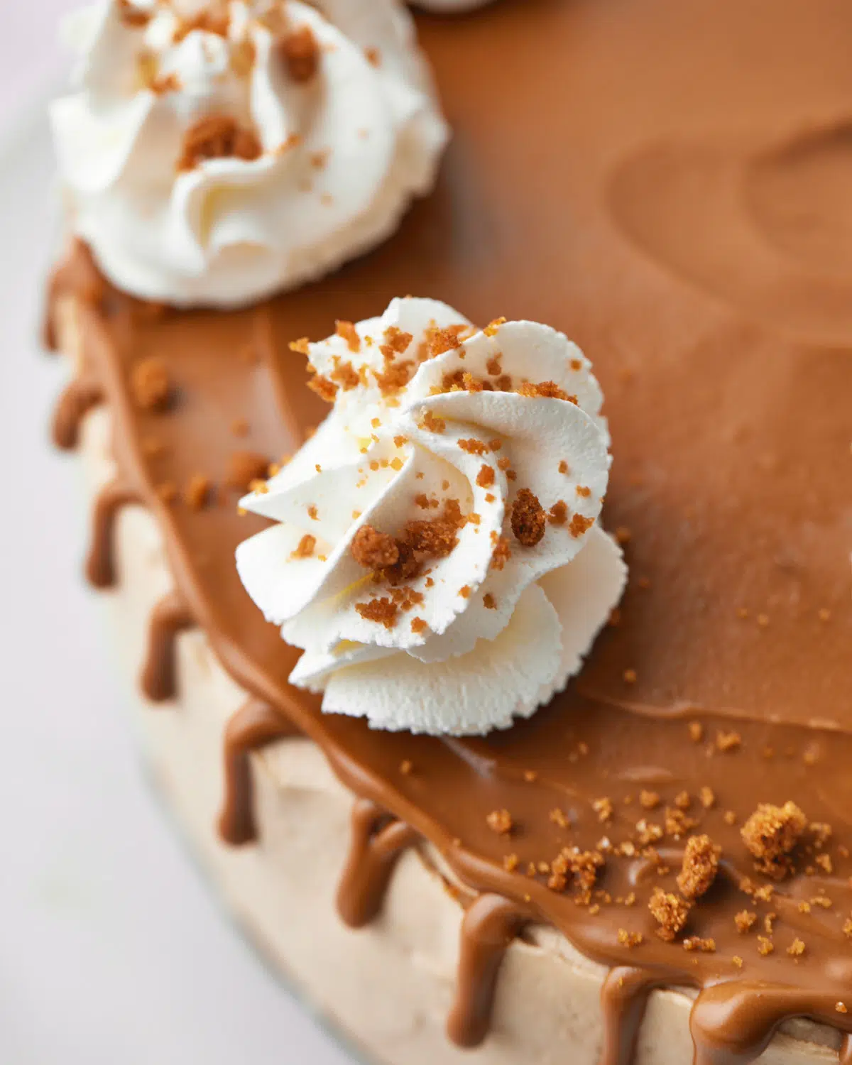 overhead view of a biscoff cheesecake with biscoff drip.