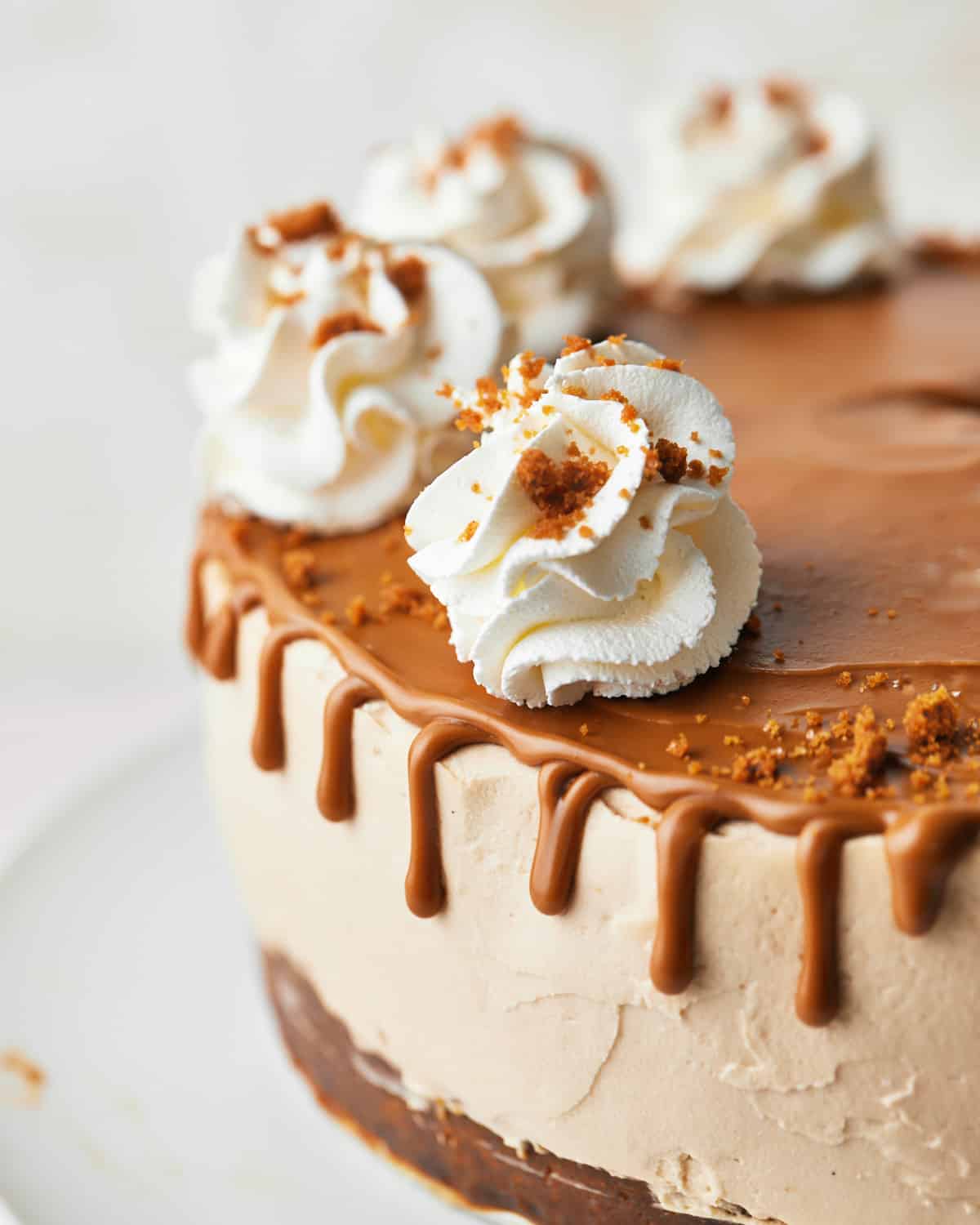 Biscoff cheesecake from the side.