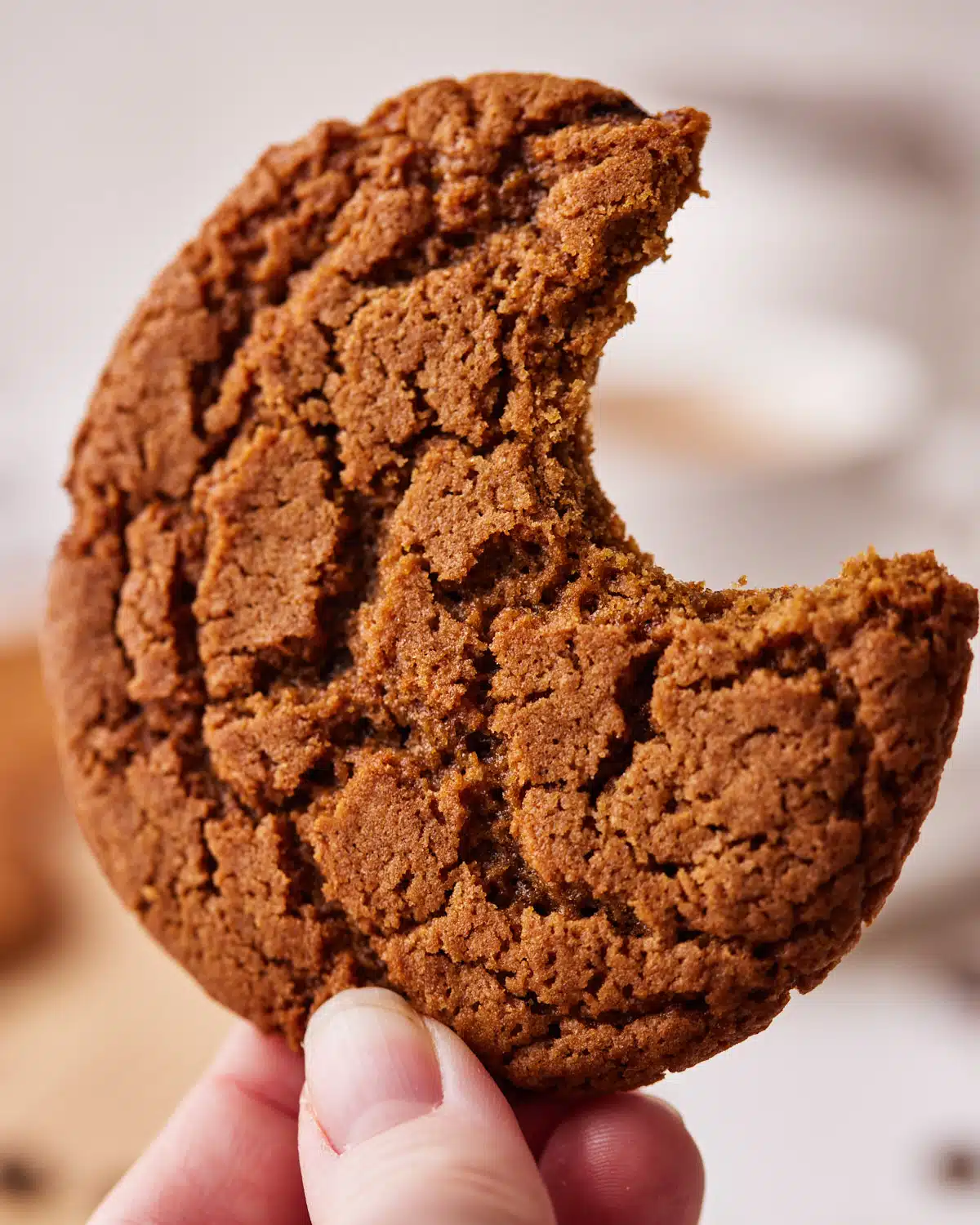 close up of coffee cookie with a bite taken out. 