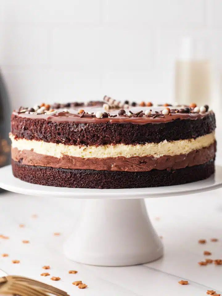 Tuxedo cake - triple chocolate mousse cake shot from the side to show all the pretty layers.