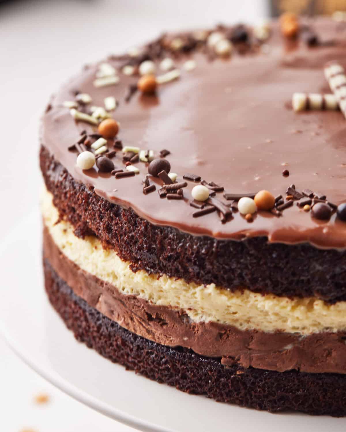 Tuxedo cake decorated with chocolate ganache.