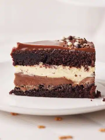slice of tuxedo cake from the side, showing off all the layers.