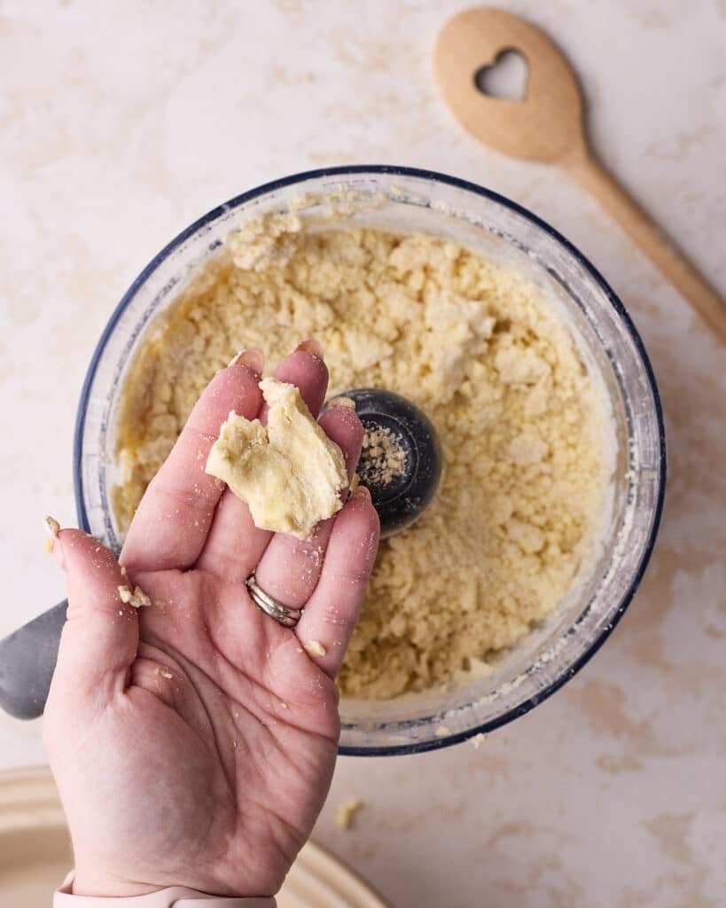 Consistency of homemade pie dough once it is hydrated enough, being squeezed in a hand so it holds together. 