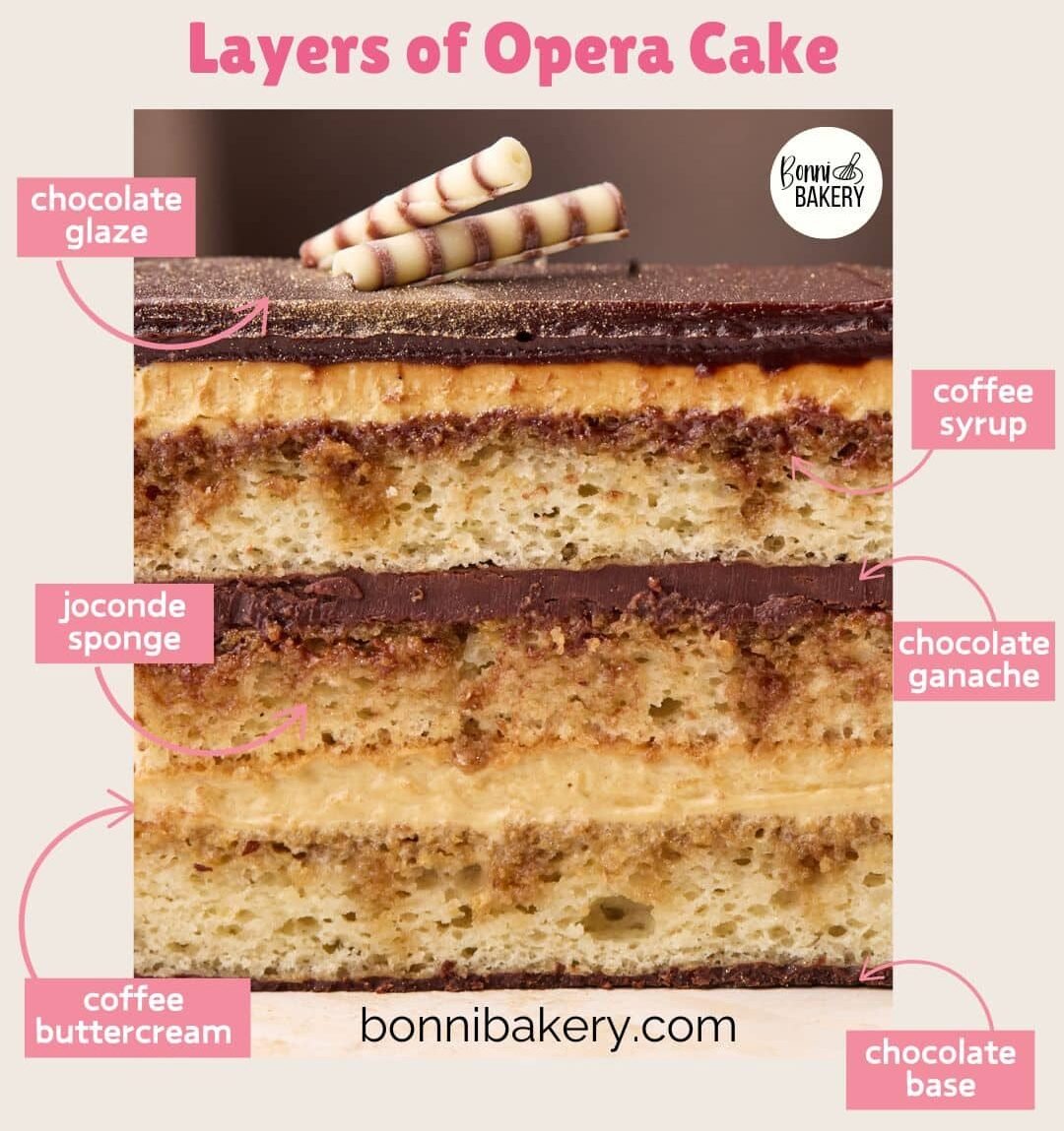 Graphic showing the seven layers of an opera cake, including joconde sponge, coffee buttercream, coffee syrup, chocolate ganache and chocolate glaze.