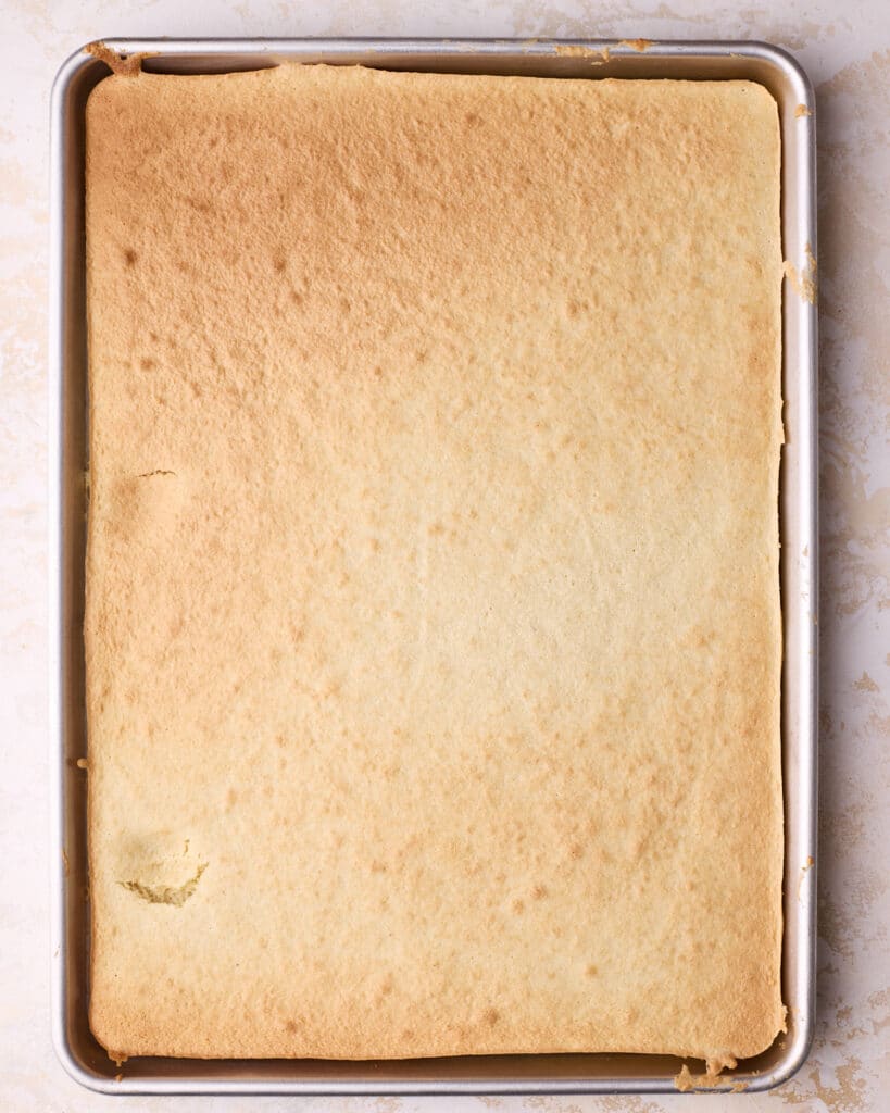 Baked joconde sponge in a half sheet pan with slightly golden brown edges. 