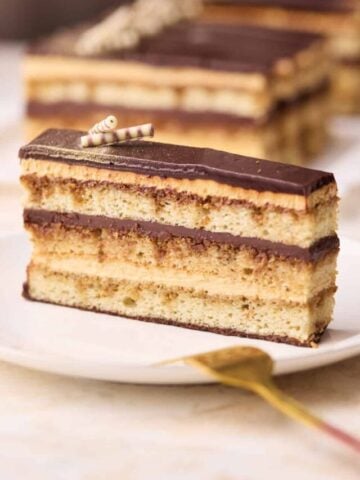 cropped-Opera-Cake_210.jpg