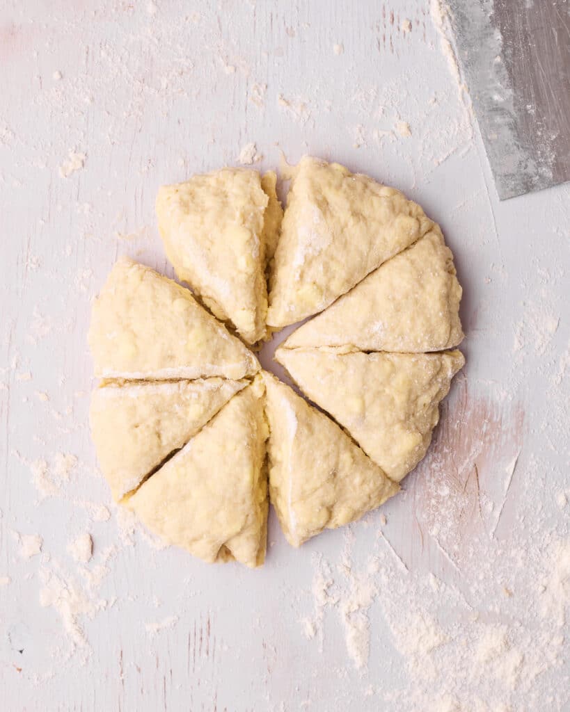 Circle of dough cut into 8 triangular slices.