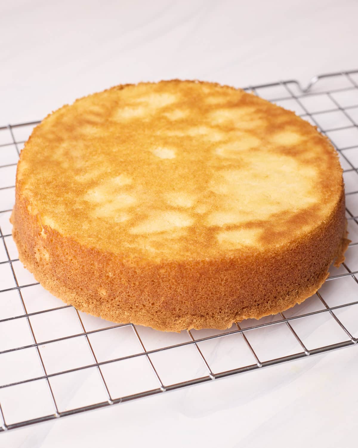 Hot milk sponge cake cooling on a wire rack.
