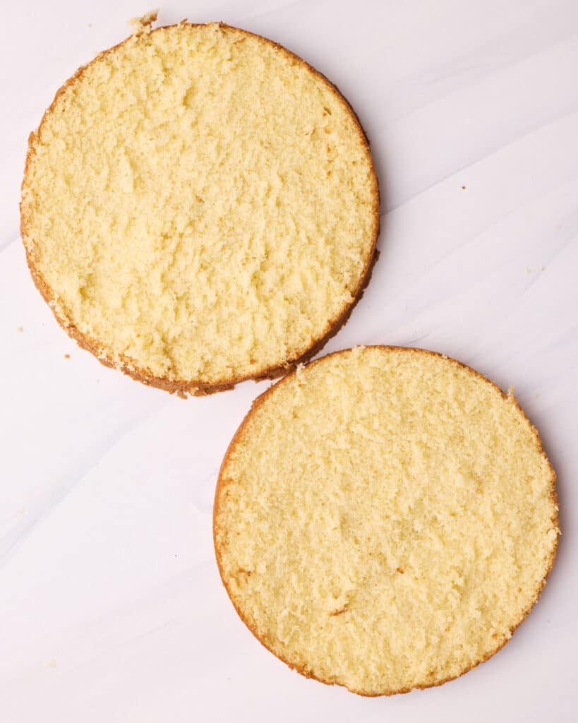 Vanilla sponge cake sliced into two layers to make Boston cream pie.