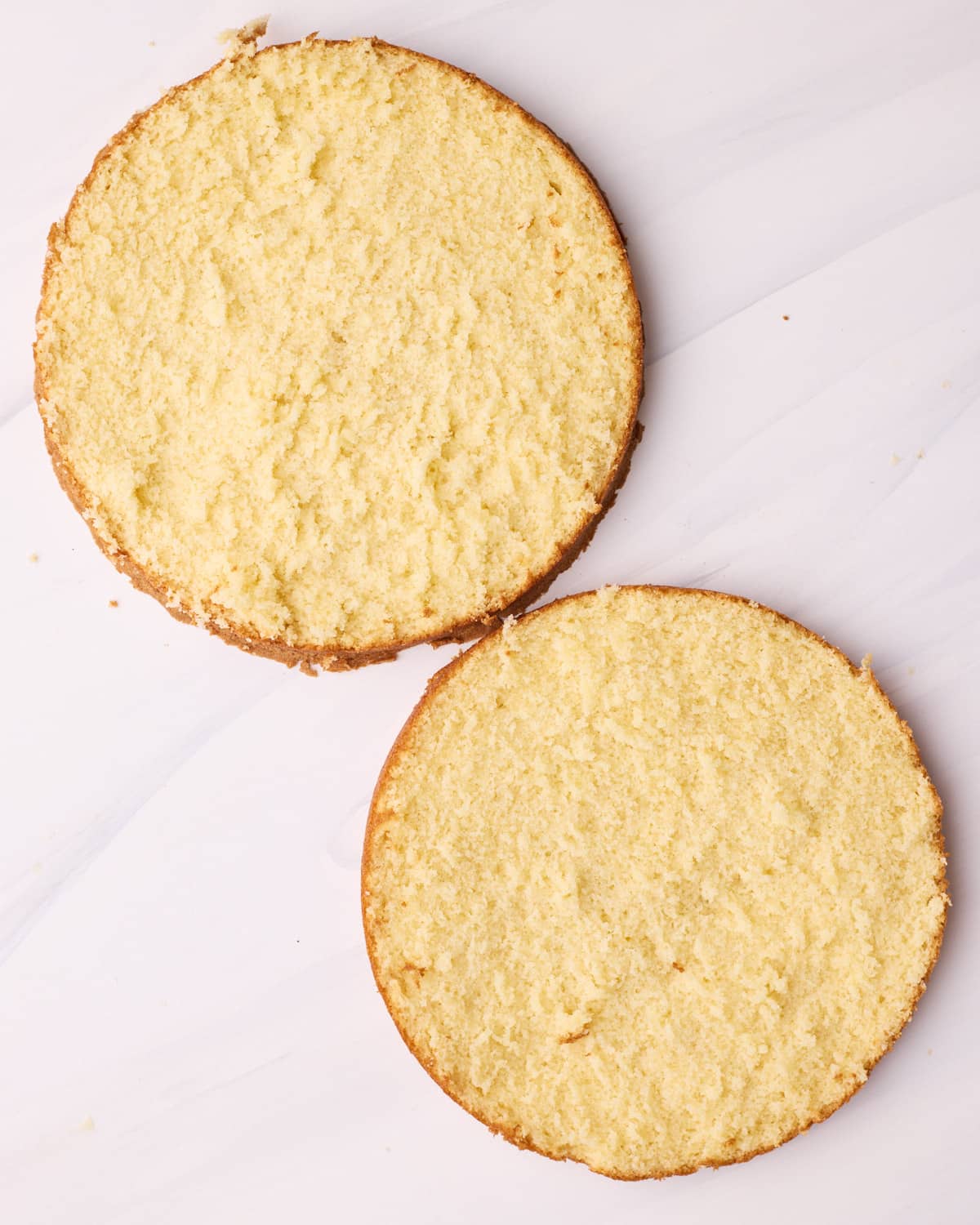 Vanilla sponge cake sliced into two layers to make Boston cream pie.