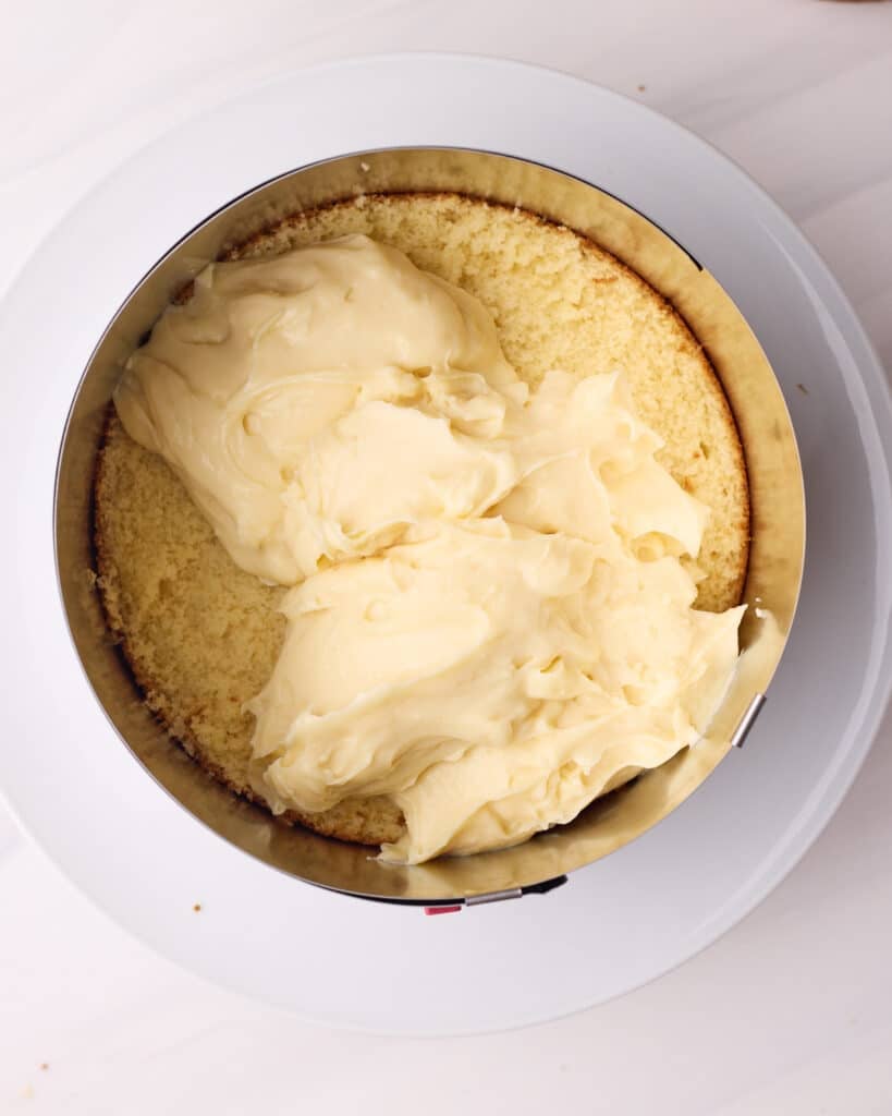 Boston cream pie being assembled by smoothing pastry cream filling on top of a layer of vanilla sponge cake, inside a pastry ring.