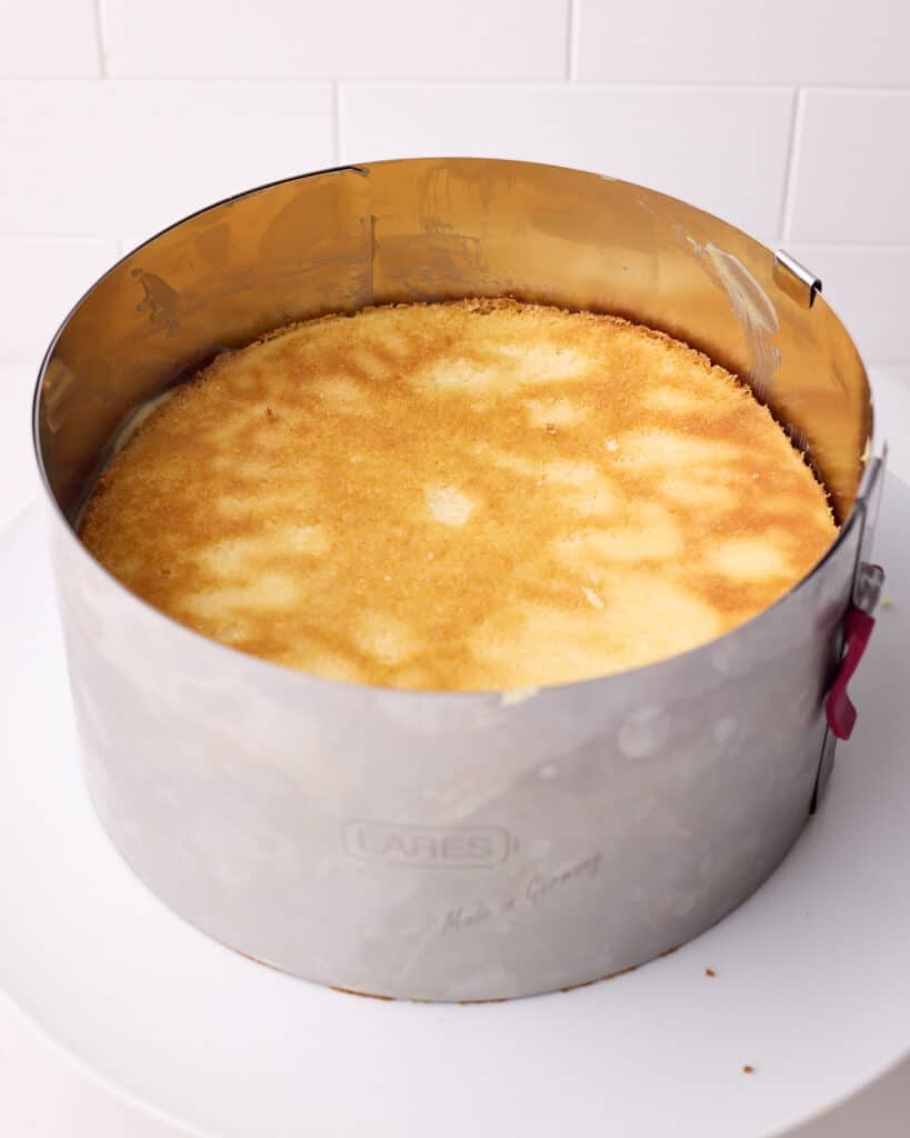 Boston cream pie being assembled inside an adjustable cake ring.