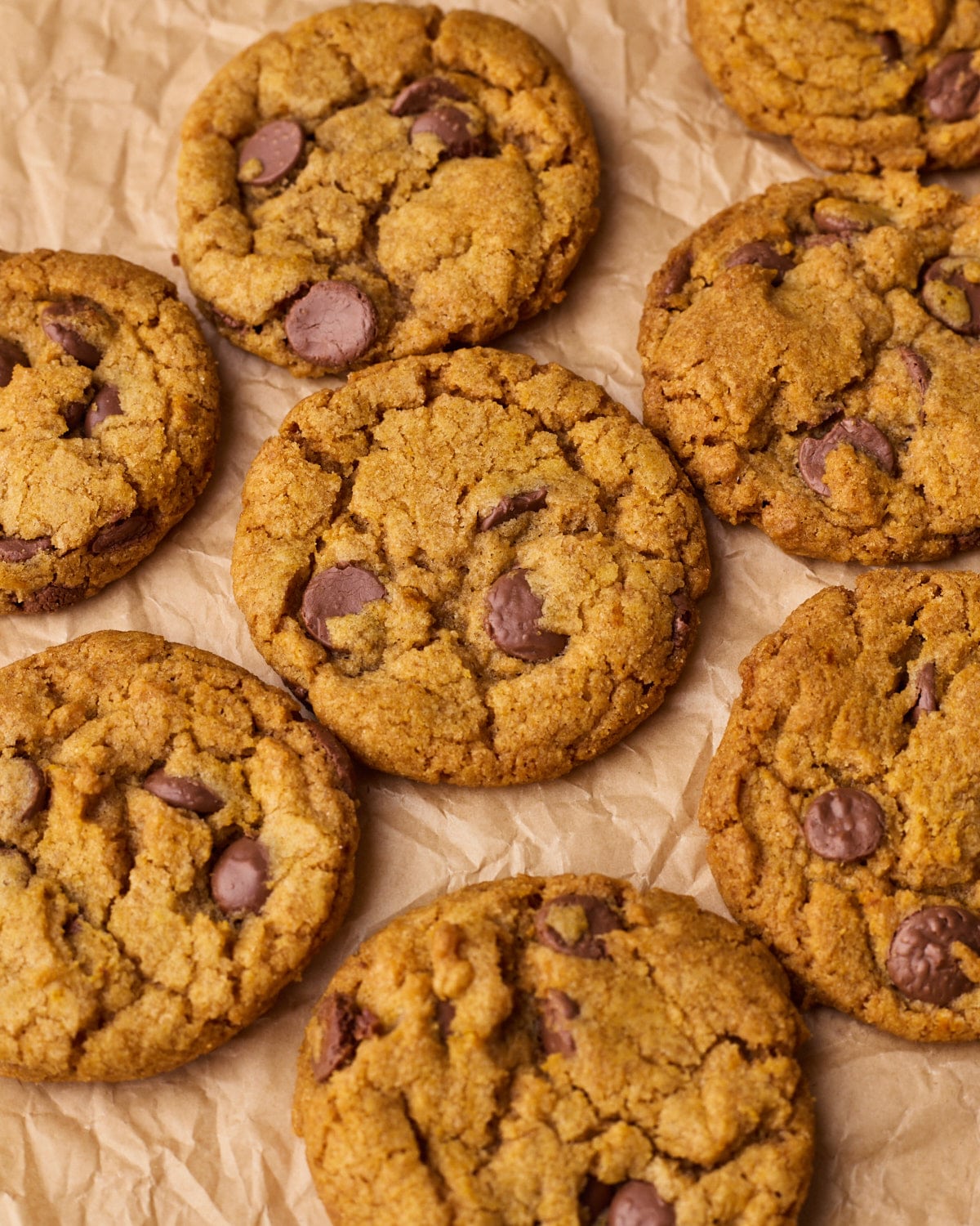 Close up of pumpkin chocolate chip cookies from above on a piece of parchment paper.