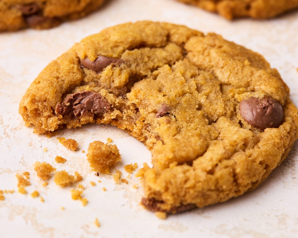 Close up of a pumpkin chocolate chip cookie with a bite missing.