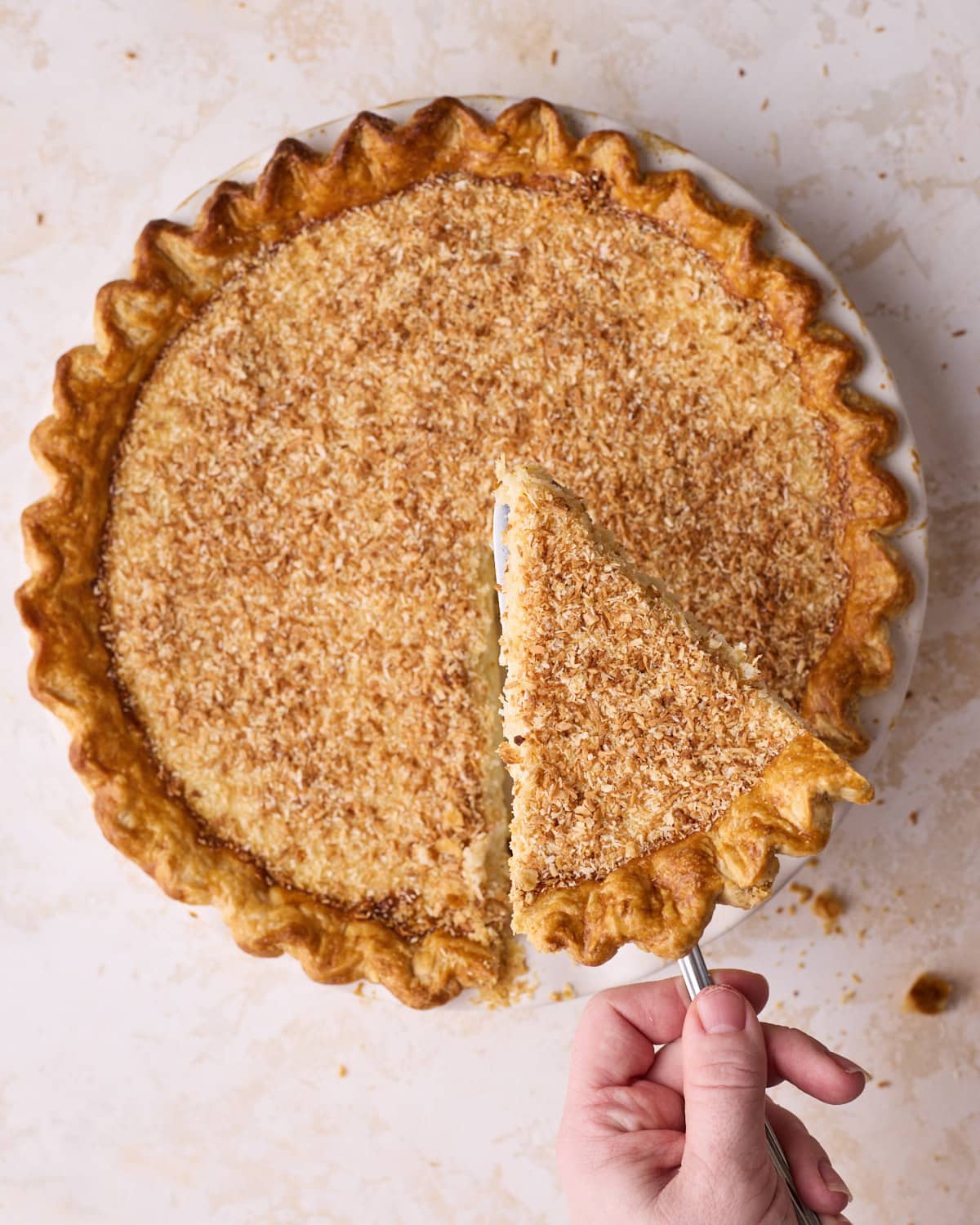 A slice of coconut custard pie being lifted up out of the pie dish.