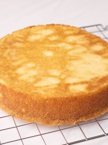 Vanilla sponge cake on a cooling rack.