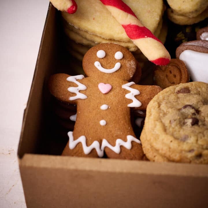 Gingerbread man in a christmas cookie box.