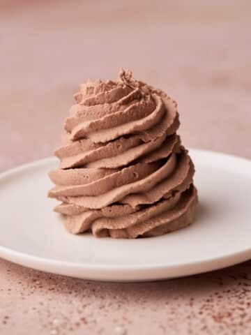Swirl of chocolate whipped cream on a small plate.